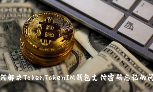 如何解决TokenTokenIM钱包支付密码忘记的问题