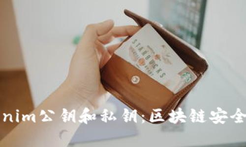 理解Tokenim公钥和私钥：区块链安全基础知识