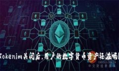 Tokenim关闭后，用户的数字