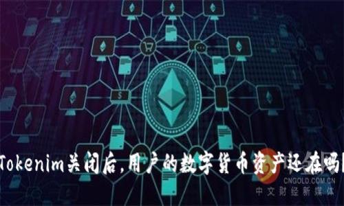 Tokenim关闭后，用户的数字货币资产还在吗？