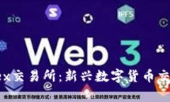 全面解析T-Rex交易所：新兴