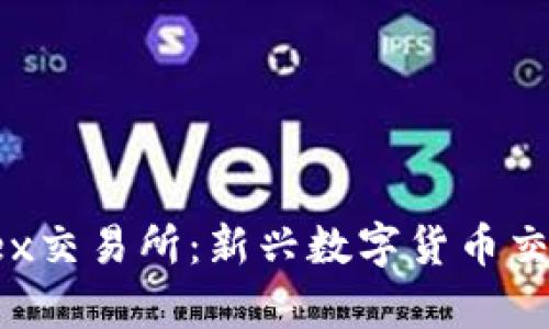 全面解析T-Rex交易所：新兴数字货币交易平台的崛起