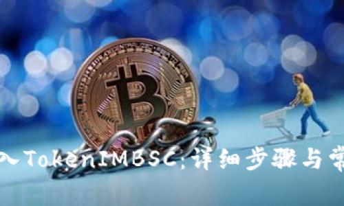 如何成功导入TokenIMBSC：详细步骤与常见问题解析