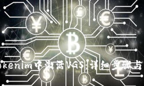 如何在Tokenim中激活VGS：详细步骤与注意事项