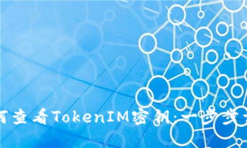 如何查看TokenIM密钥：一步步详解