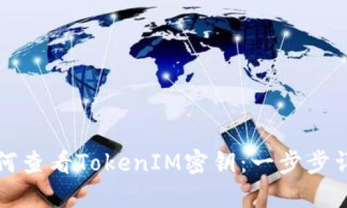 如何查看TokenIM密钥：一步步详解