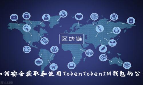 如何安全获取和使用TokenTokenIM钱包的公钥
