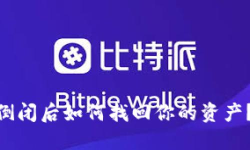 tokenim倒闭后如何找回你的资产？详尽指南