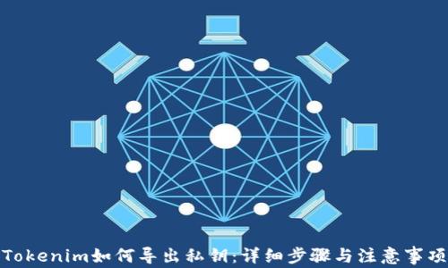 
Tokenim如何导出私钥：详细步骤与注意事项