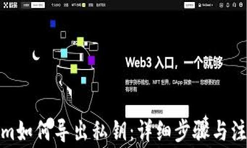 
Tokenim如何导出私钥：详细步骤与注意事项