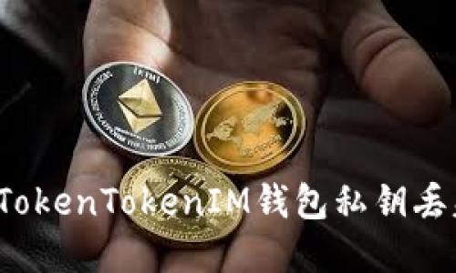 如何处理TokenTokenIM钱包私钥丢失的情况？