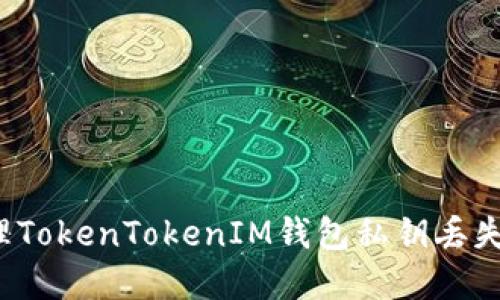 如何处理TokenTokenIM钱包私钥丢失的情况？