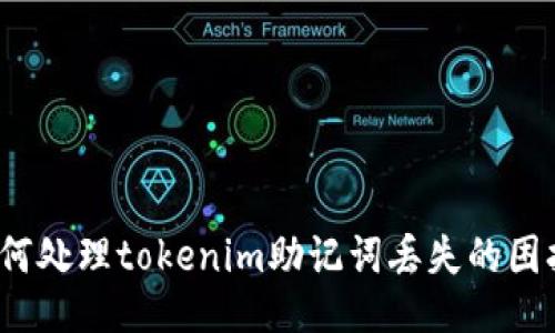 如何处理tokenim助记词丢失的困扰？