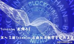 Tokenim 是哪个？深入了解Tokenim：区块链与数字资