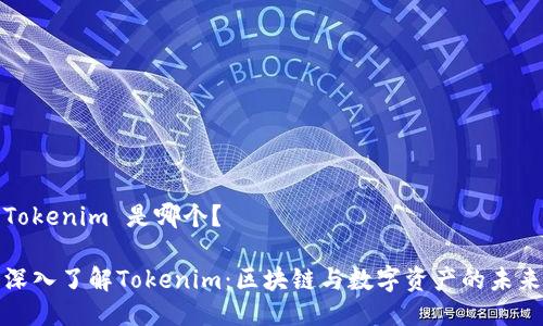 Tokenim 是哪个？

深入了解Tokenim：区块链与数字资产的未来