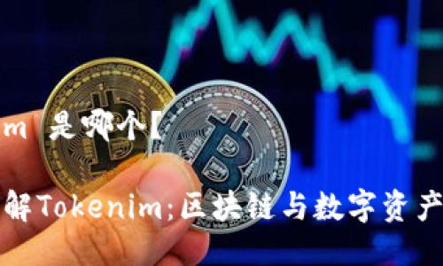 Tokenim 是哪个？

深入了解Tokenim：区块链与数字资产的未来