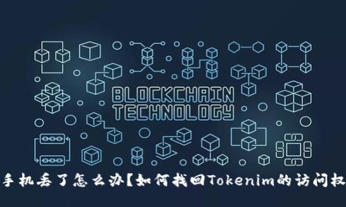 : 手机丢了怎么办？如何找回Tokenim的访问权限