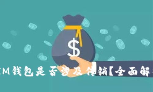 TokenTokenIM钱包是否涉及传销？全面解析与深度剖析