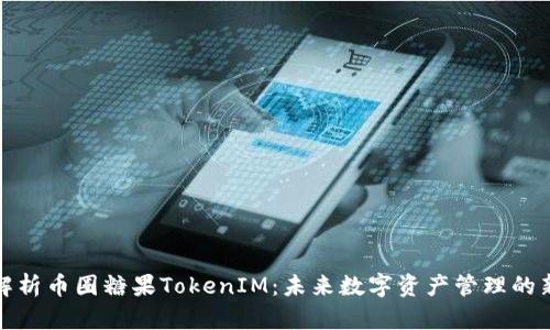 深入解析币圈糖果TokenIM：未来数字资产管理的新选择