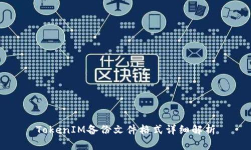 TokenIM备份文件格式详细解析