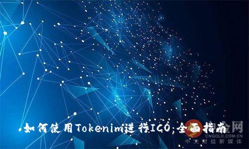 如何使用Tokenim进行ICO：全面指南
