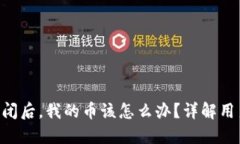Tokenim公司倒闭后，我的币