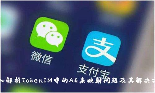 深入解析TokenIM中的AE未映射问题及其解决方案