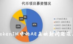 深入解析TokenIM中的AE未映射问题及其解决方案