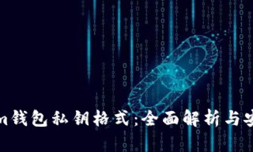 Tokenim钱包私钥格式：全面解析与安全实践