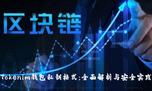 Tokenim钱包私钥格式：全面解析与安全实践