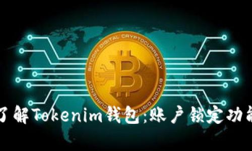 深入了解Tokenim钱包：账户锁定功能解析