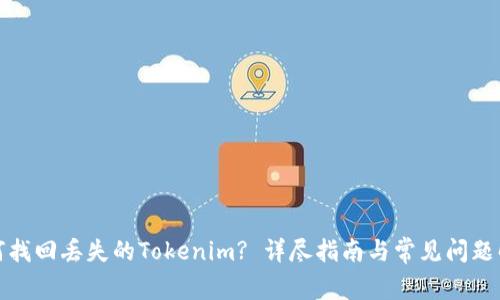 如何找回丢失的Tokenim? 详尽指南与常见问题解答