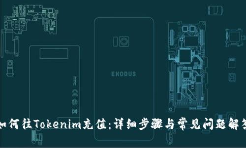 如何往Tokenim充值：详细步骤与常见问题解答