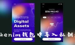 如何在Tokenim钱包中导入私钥：详尽指南