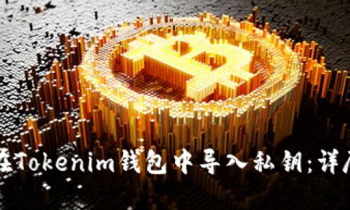 如何在Tokenim钱包中导入私钥：详尽指南