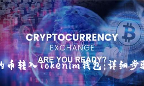 如何将私募的币转入Tokenim钱包：详细步骤与注意事项