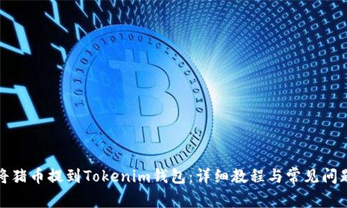 如何将猪币提到Tokenim钱包:详细教程与常见问题解答