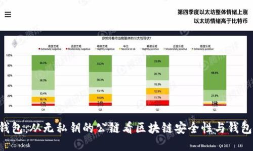 Tokenim钱包：从无私钥的公链看区块链安全性与钱包使用体验