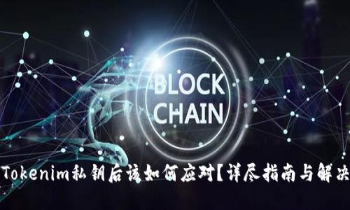 丢失Tokenim私钥后该如何应对？详尽指南与解决方案