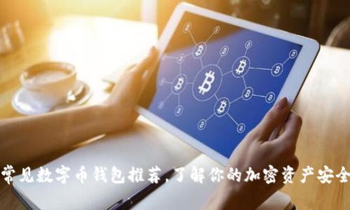 常见数字币钱包推荐，了解你的加密资产安全