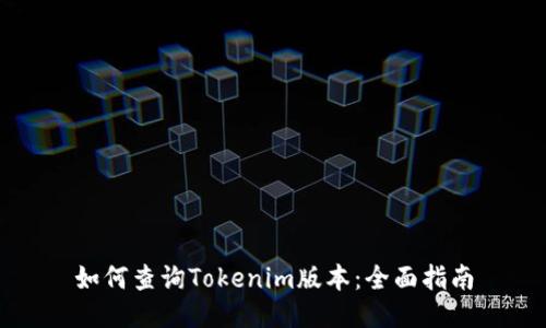 如何查询Tokenim版本：全面指南