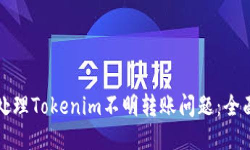如何处理Tokenim不明转账问题：全面指南