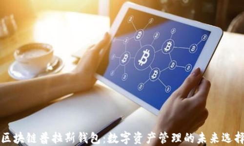 
区块链普拉斯钱包：数字资产管理的未来选择