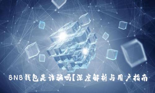 BNB钱包是诈骗吗？深度解析与用户指南