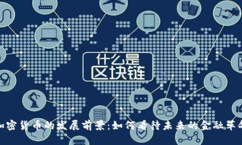 加密货币的发展前景：如何看待未来的金融革命