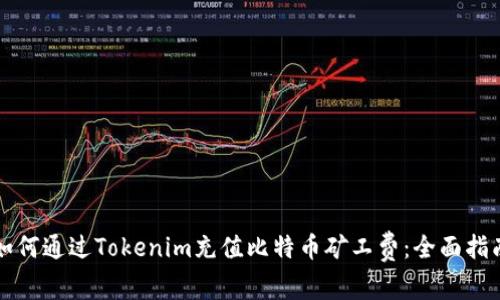 如何通过Tokenim充值比特币矿工费：全面指南
