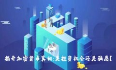 揭开加密货币真相：是投