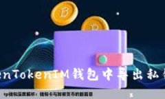 如何在TokenTokenIM钱包中导