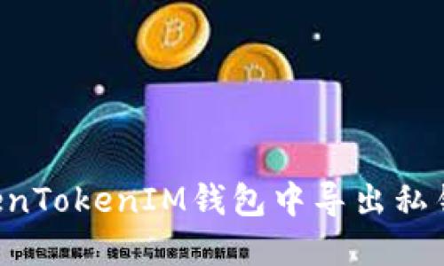 如何在TokenTokenIM钱包中导出私钥：详细指南