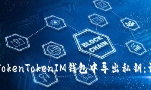 如何在TokenTokenIM钱包中导出私钥：详细指南